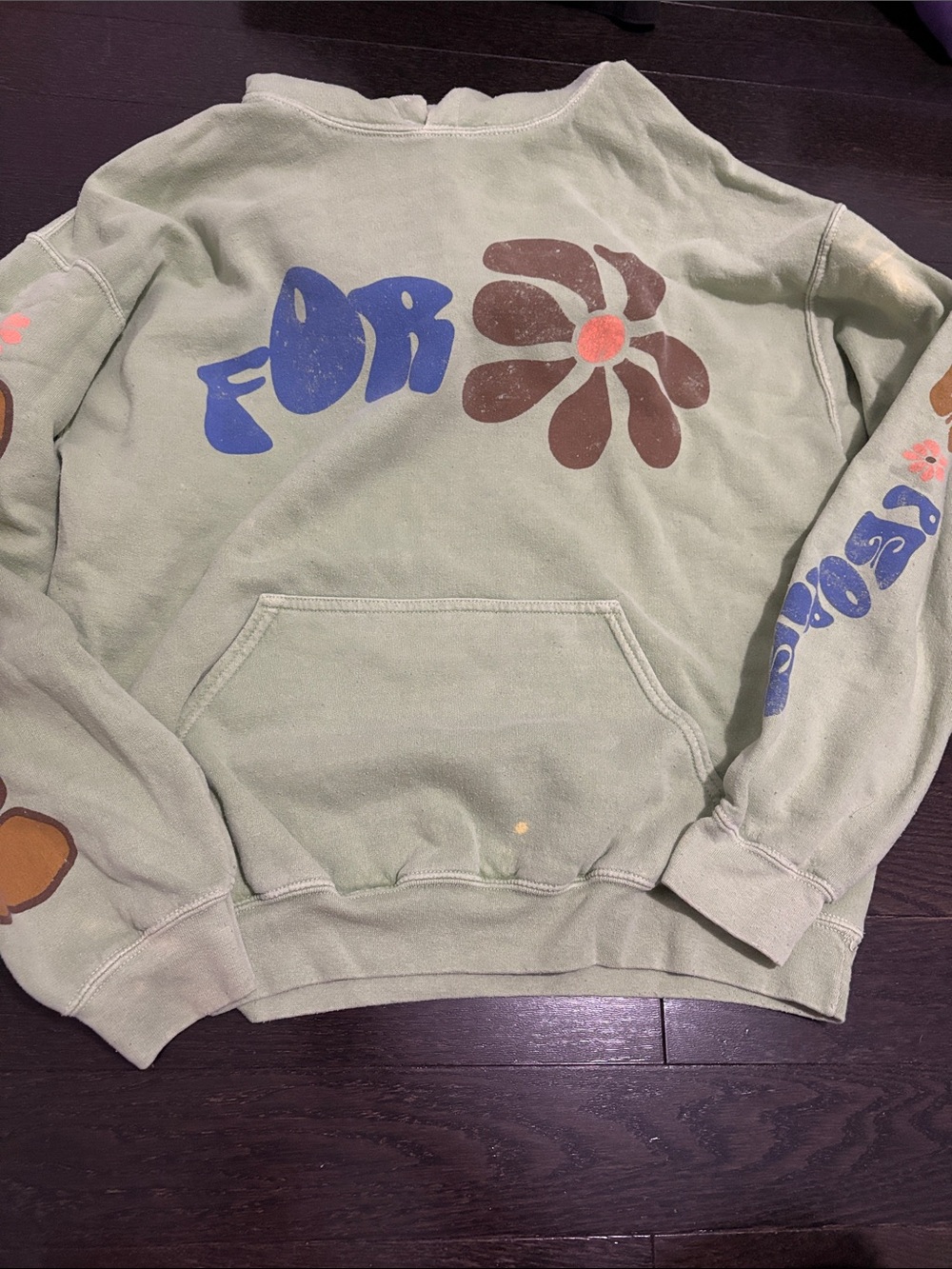 Urban outfitters Women’s Sage Green Graphic Flower Crewneck Sweater